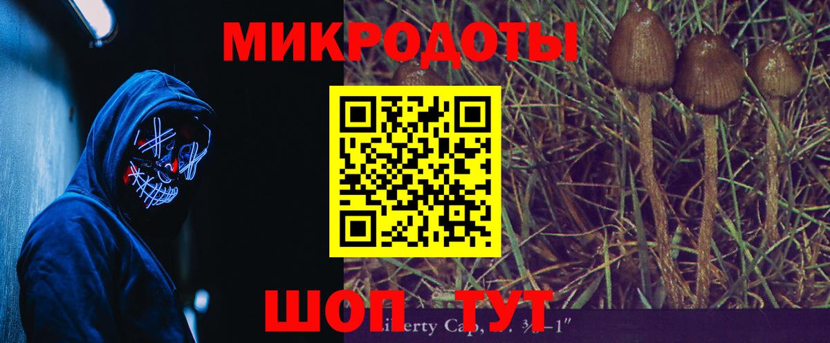Галлюциногенные грибы Psilocybe Губкин